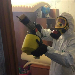 Уничтожение клопов в квартире. Казань